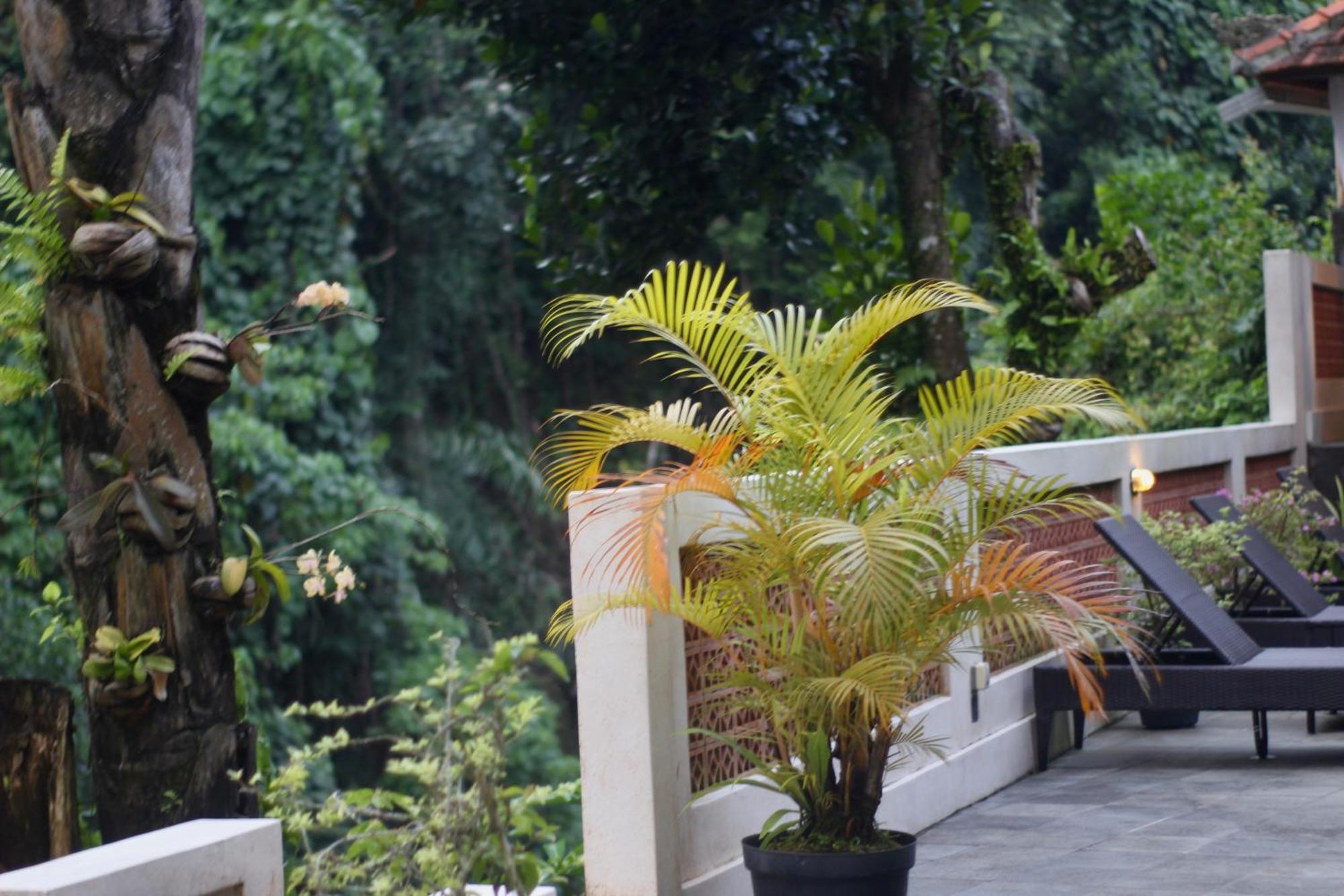 Hanaka Riverside Ubud ภายนอก รูปภาพ