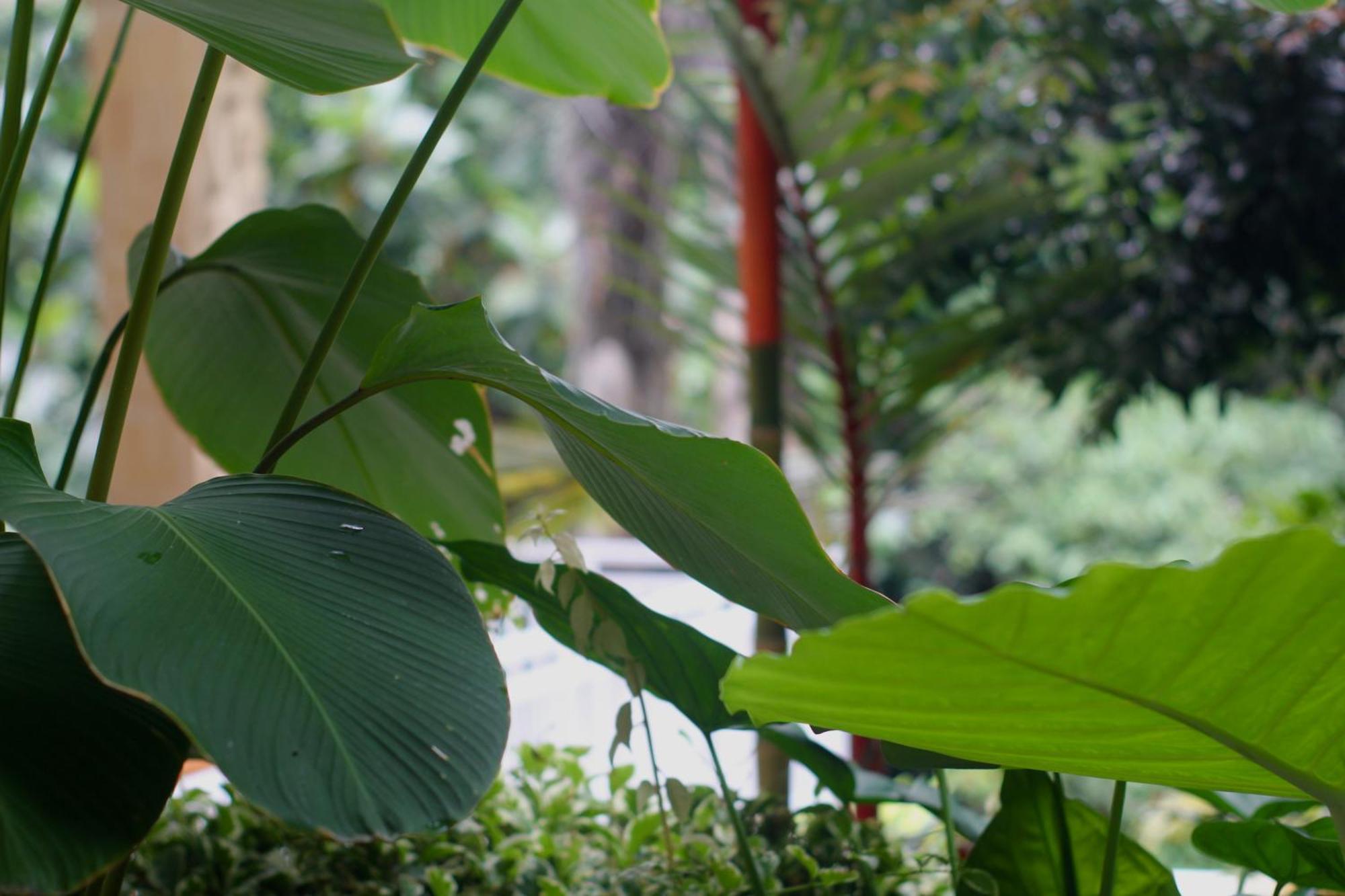 Hanaka Riverside Ubud ภายนอก รูปภาพ