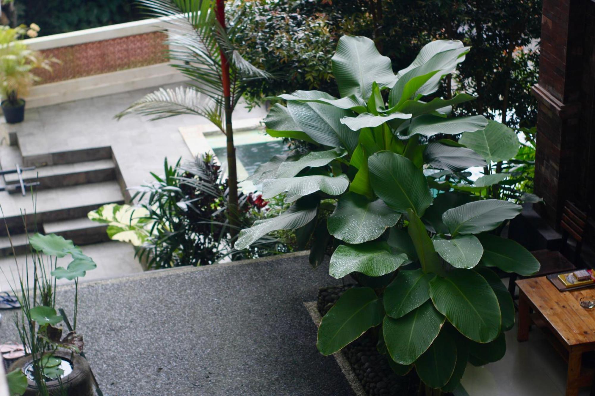 Hanaka Riverside Ubud ภายนอก รูปภาพ